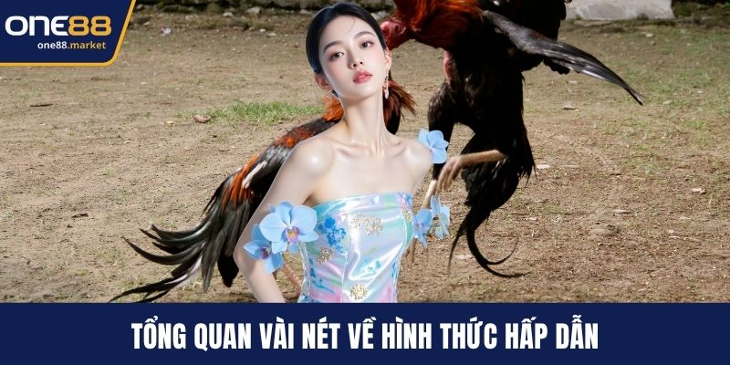Tổng quan vài nét về hình thức hấp dẫn
